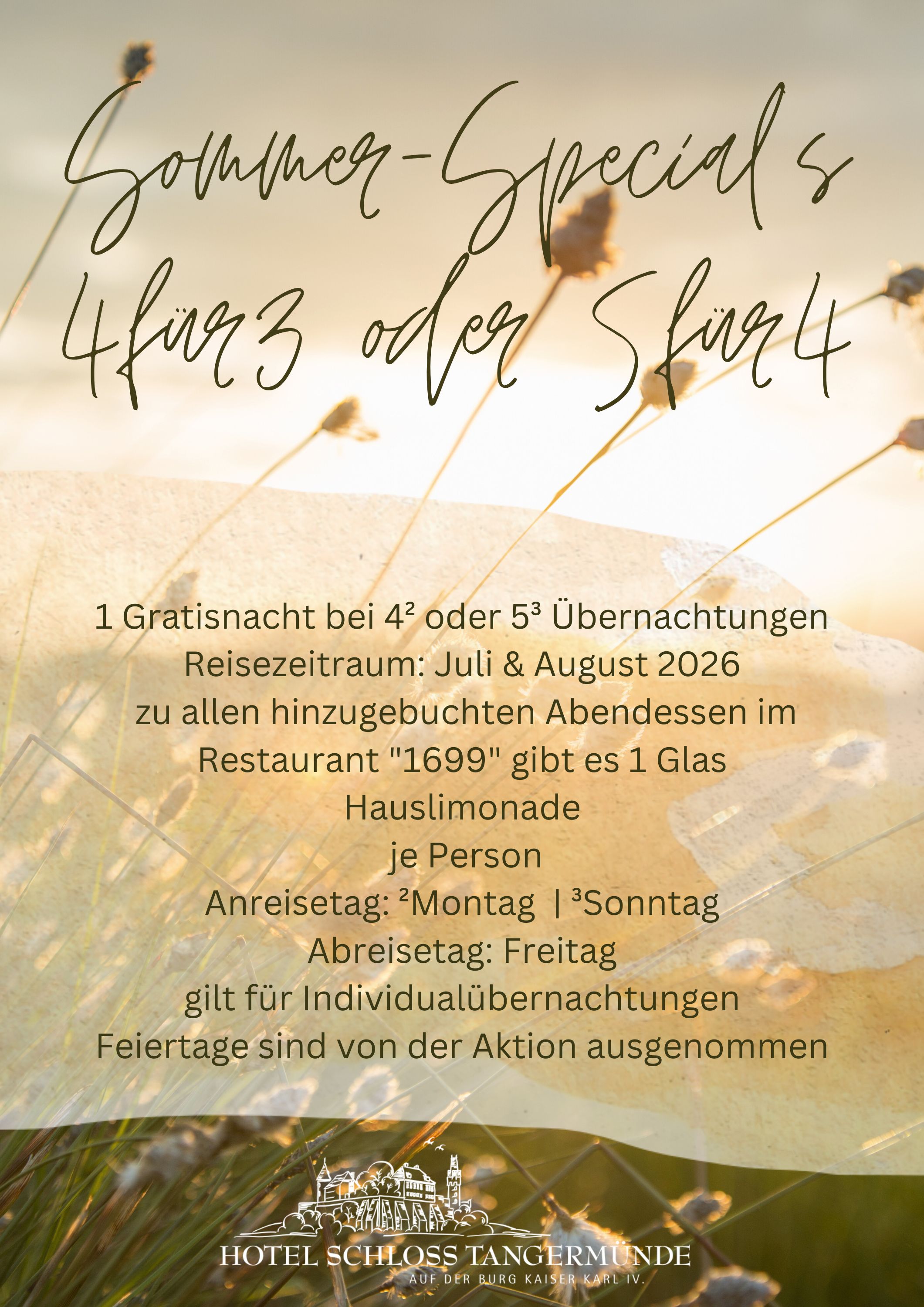 Werbebild für das Sommerangebot 4für3 und 5für4. Im Hintergrund sieht man ein Feld im Sonnenschein, im Vordergrund den Angebotstext.